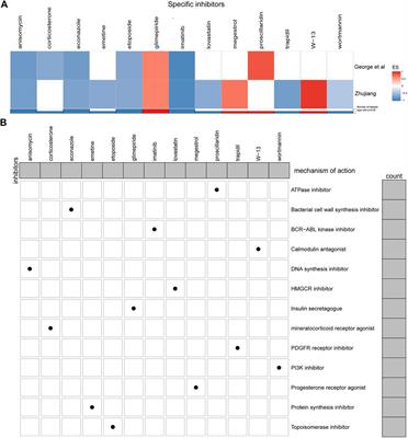 CAMSAP1 Mutation Correlates With Improved Prognosis in Small Cell Lung Cancer Patients Treated With Platinum-Based Chemotherapy